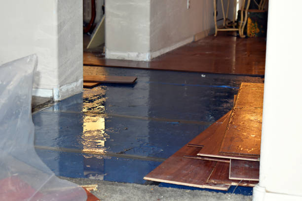 Professional Basement Flood Cleanup technician working in Irons, MI