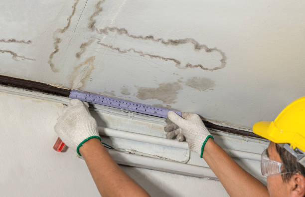 Reliable Basement Flood Cleanup contractor in Irons, MI by Aqua Guard Water Damage